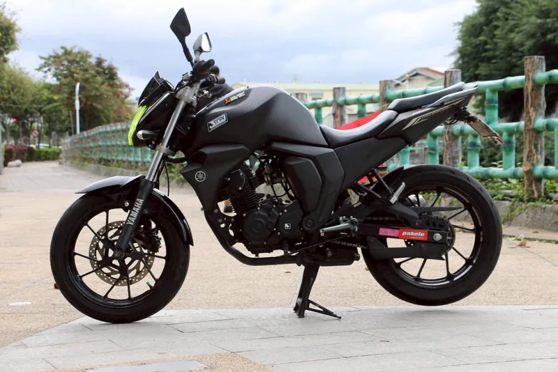 FZS150．第 9 張