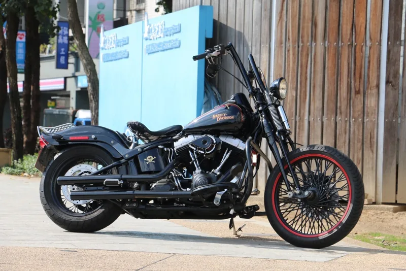 Harley-Davidson 哈雷 大彈簧 CROSS BONES．第 18 張