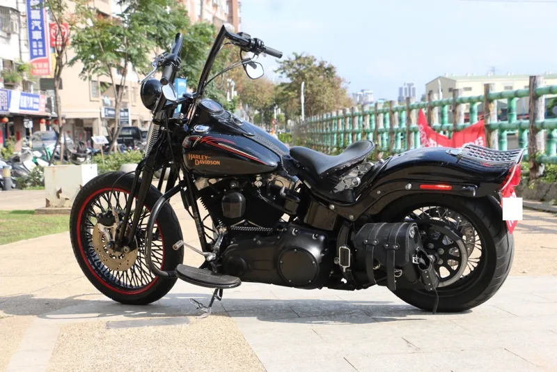 Harley-Davidson 哈雷 大彈簧 CROSS BONES．第 16 張