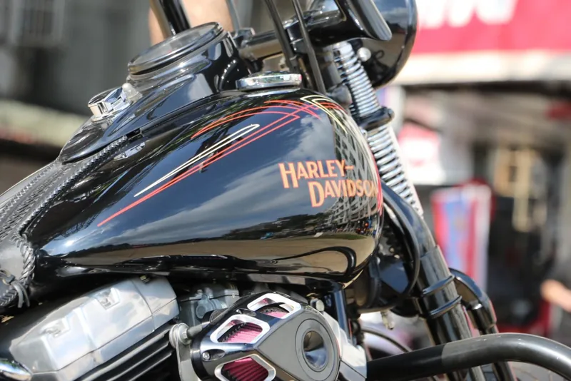 Harley-Davidson 哈雷 大彈簧 CROSS BONES．第 10 張