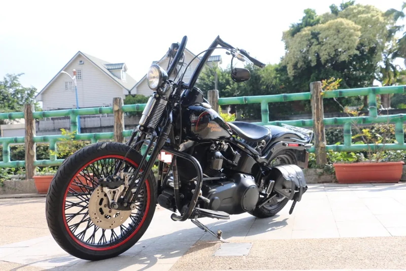 Harley-Davidson 哈雷 大彈簧 CROSS BONES